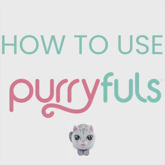 How-to video with operating instructions for Purryfuls 