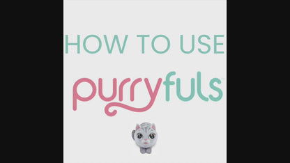 How-to video with operating instructions for Purryfuls 